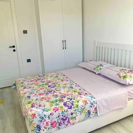 Bodrum Adabuku - Mustakil * Milas