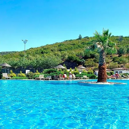 Bodrum Adabuku - Mustakil *