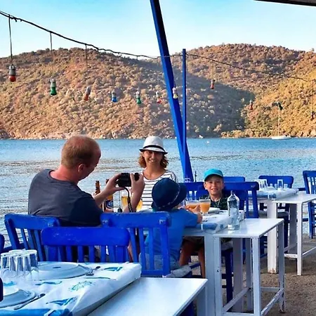 Bodrum Adabuku - Mustakil *